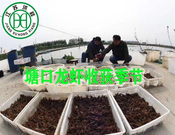軸承座
