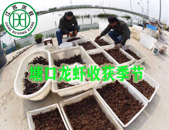 電腦數控動平衡